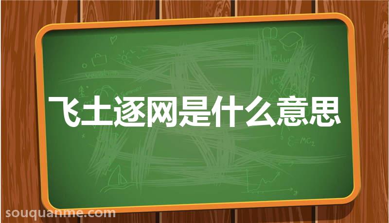 飞土逐网是什么意思 飞土逐网的拼音 飞土逐网的成语解释